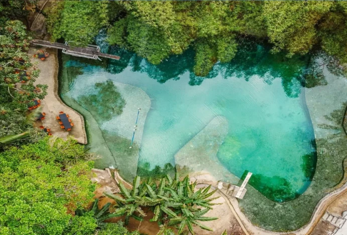 Santuário dos Manguezais